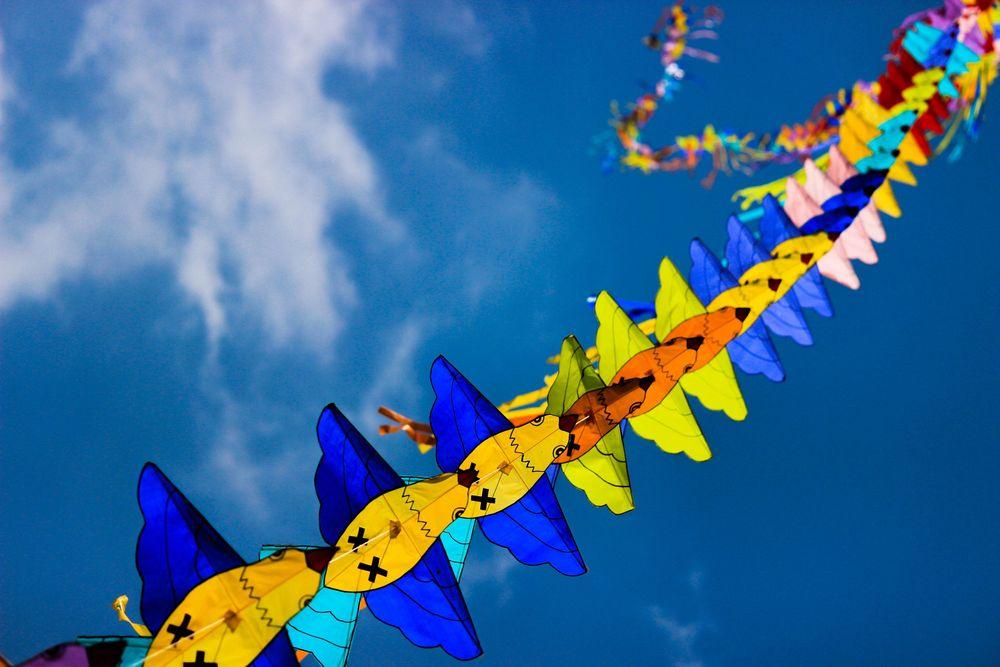 Mysuru Dasara Kite Flying Competition